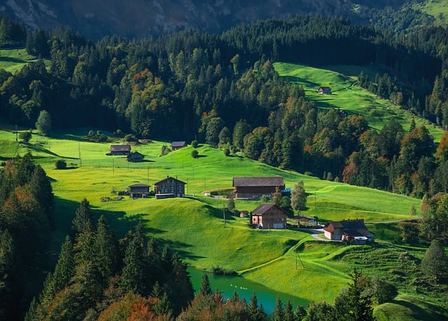 Schweizisk kvalitet: Formula Swiss er førende inden for økologisk CBD-produktion